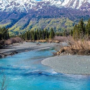 Meet your Posher, Cors